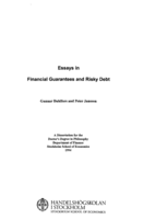 Essays in financial guarantees and risky debt