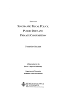 Essays on stochastic fiscal policy, public debt and private consumption