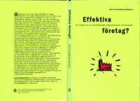 Effektiva företag? En studie av hur privatiserade organisationer konstruras