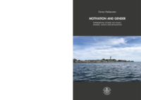Motivation and gender: Experimental studies on goals, awards, advice and retaliation