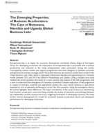 The emerging properties of business accelerators : The Case of Botswana, Namibia and Uganda Global Business Labs
