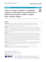 "That's a woman's problem": A qualitative analysis to understand male involvement in maternal and newborn health in Jigawa state, northern Nigeria