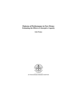 Patterns of performance in new firms : estimating the effects of absorptive capacity