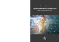 Essays in international risk sharing: Currency strategies and credit cycles