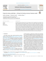 Copycats among underdogs - echoing the sharing economy business model