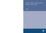 Creditor Rights and Innovation : Evidence from China