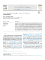Driving sustainability in emerging markets: The leading role of multinationals